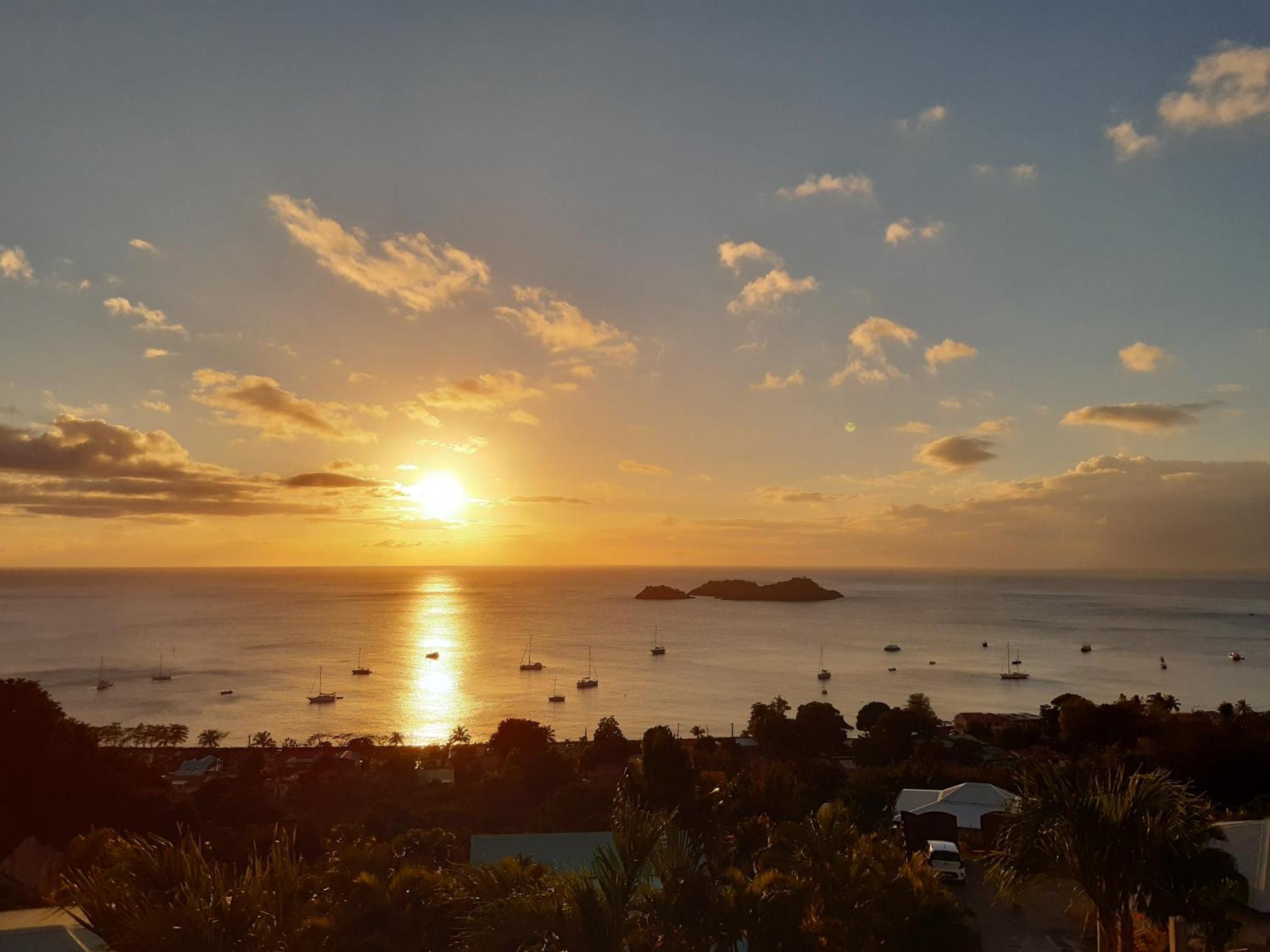 Logements Vue Mer Acces Piscine En Guadeloupe Буйянт Екстериор снимка